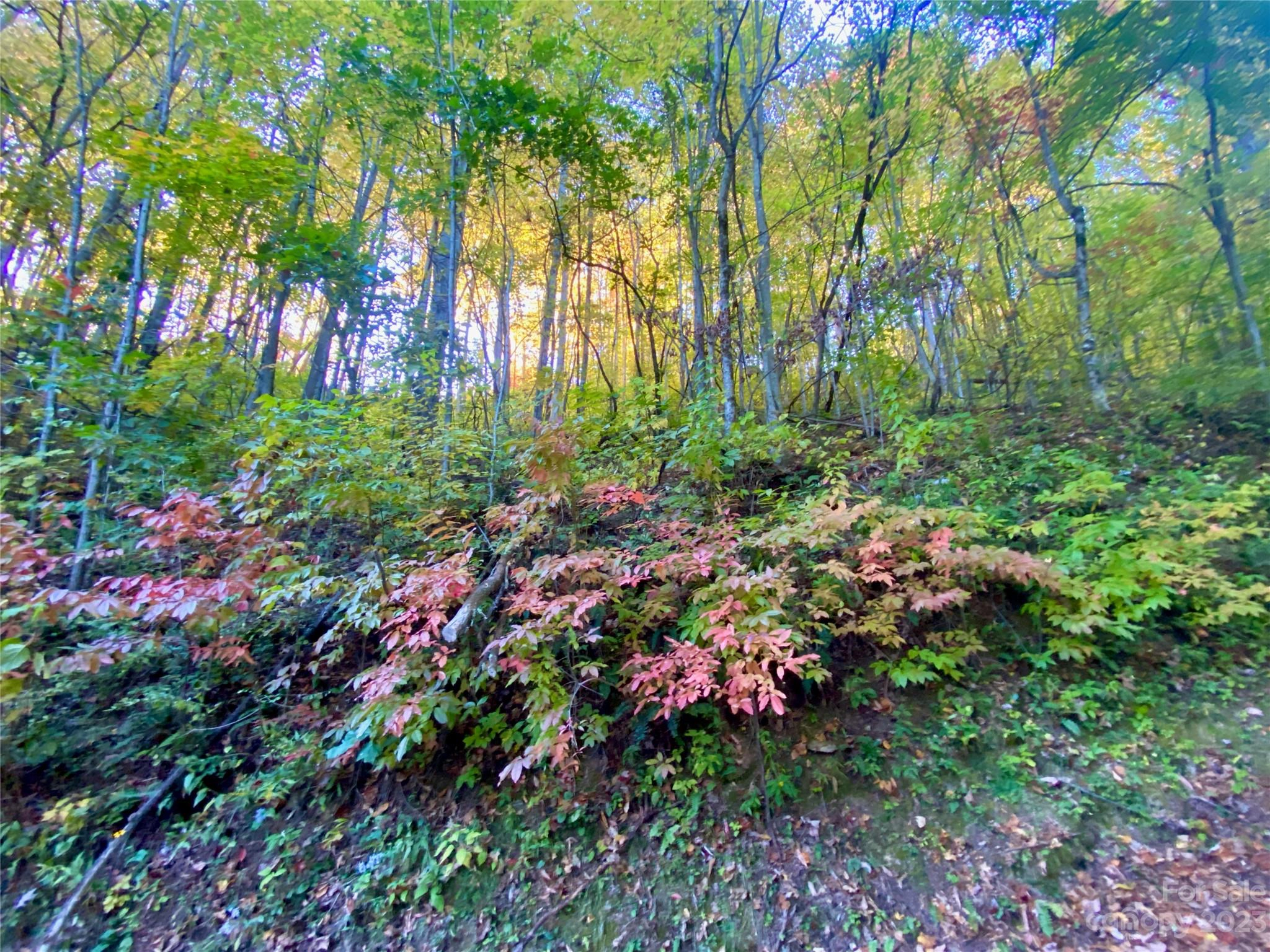 Lot 10 Wahoo 10 Dr Unit 10  