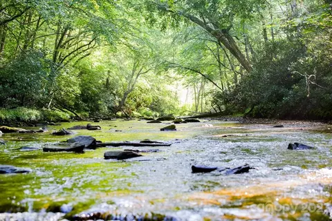 Tbd Goose Hollow Road, Newland, NC 28657