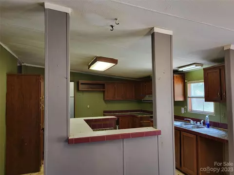 160 Honor Ln, Mill Spring, NC 28756 photo 5