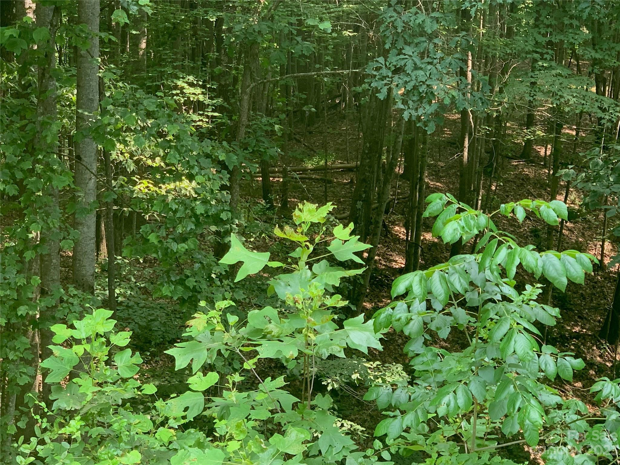 Round Mountain Lot 46 Pkwy Lot 46