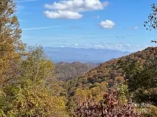 580 Freemont Dr, Leicester, NC 28748