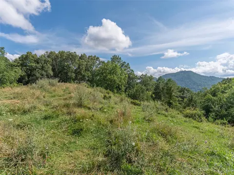 450 Grasty Rd, Clyde, NC 28721 photo 11