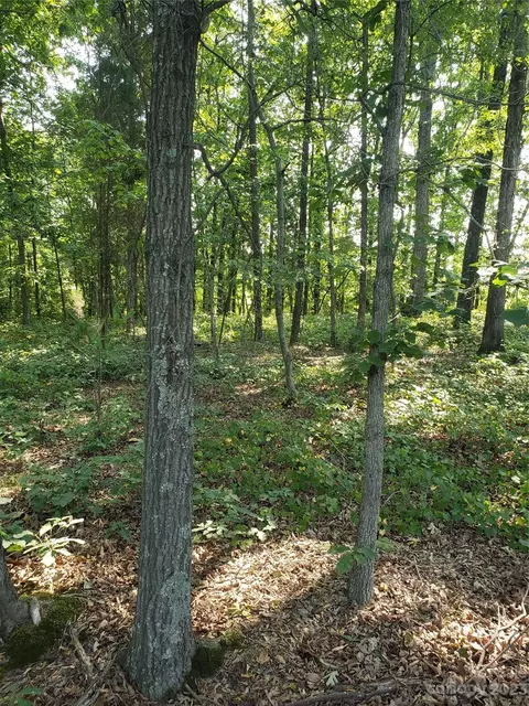 0 Us 52 Hwy, Gold Hill, NC 28071