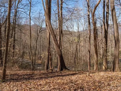 103 Lindon Cove Rd #31, Candler, NC 28715