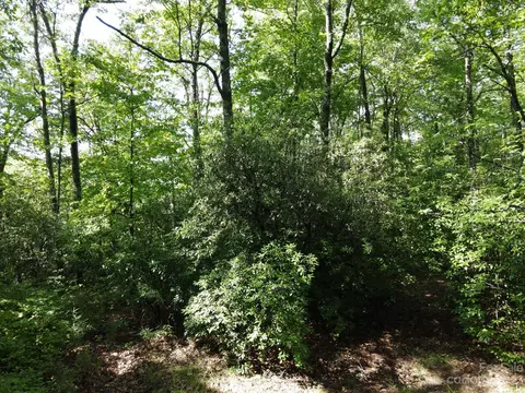 34 Maple Ridge Rd, Rosman, NC 28772 photo 15