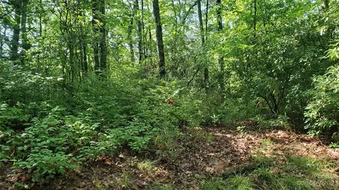 34 Maple Ridge Rd, Rosman, NC 28772 photo 14