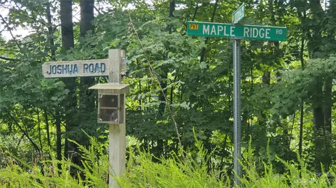 34 Maple Ridge Rd, Rosman, NC 28772 photo 21