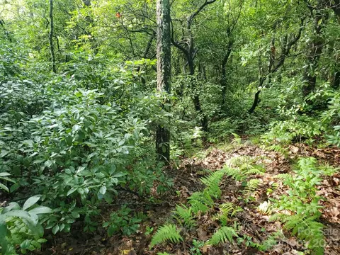 34 Maple Ridge Rd, Rosman, NC 28772 photo 11