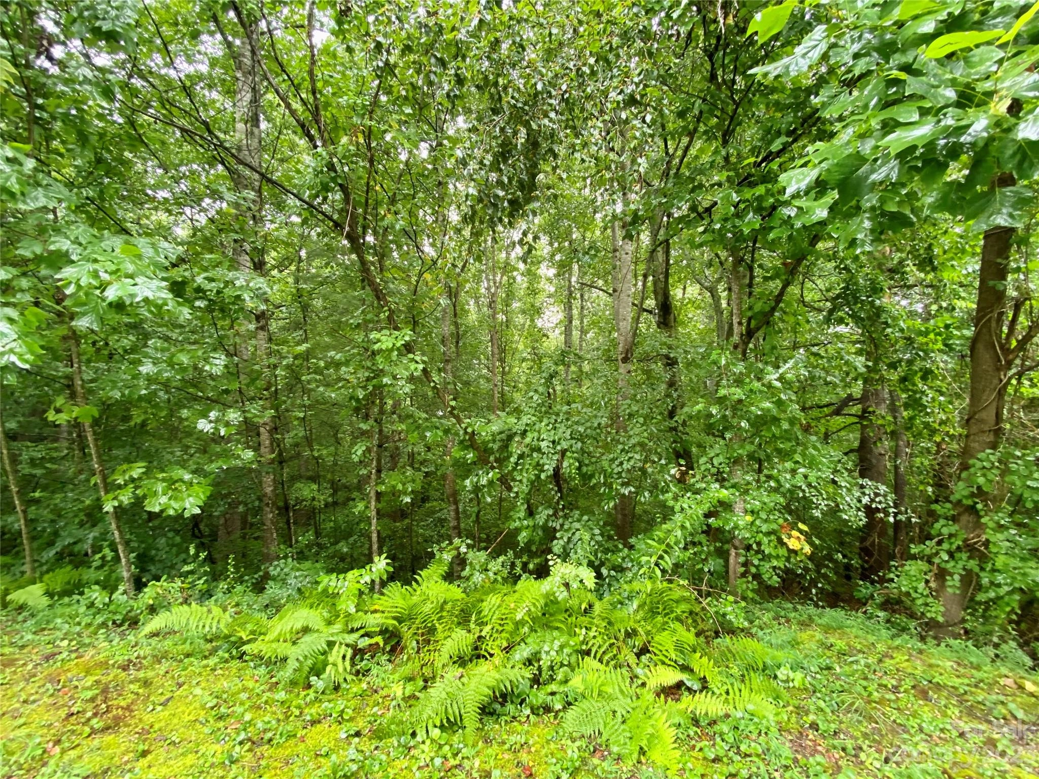 7 Pumphouse Rd Unit a  