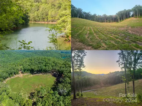 Old Yellow Circle Road, Robbinsville, NC 28771