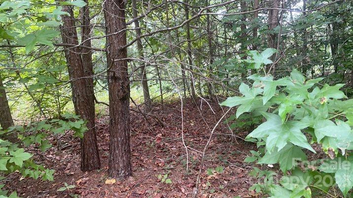 0 Walkaloosa Lot Unit 17 Way Unit Lot 17