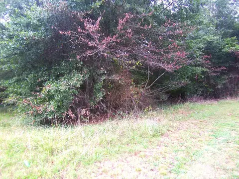 00 Falls St, Lawndale, NC 28090