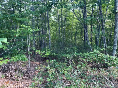 3855 Back Bluff Dr, Morganton, NC 28655 photo 4