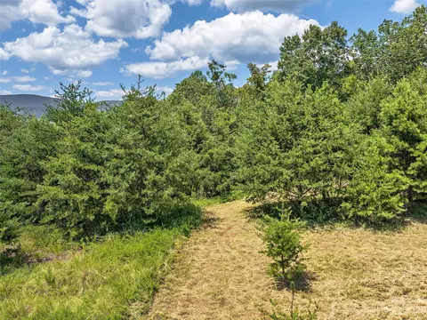 Mountain Parkway, Mill Spring, NC 28756 photo 7