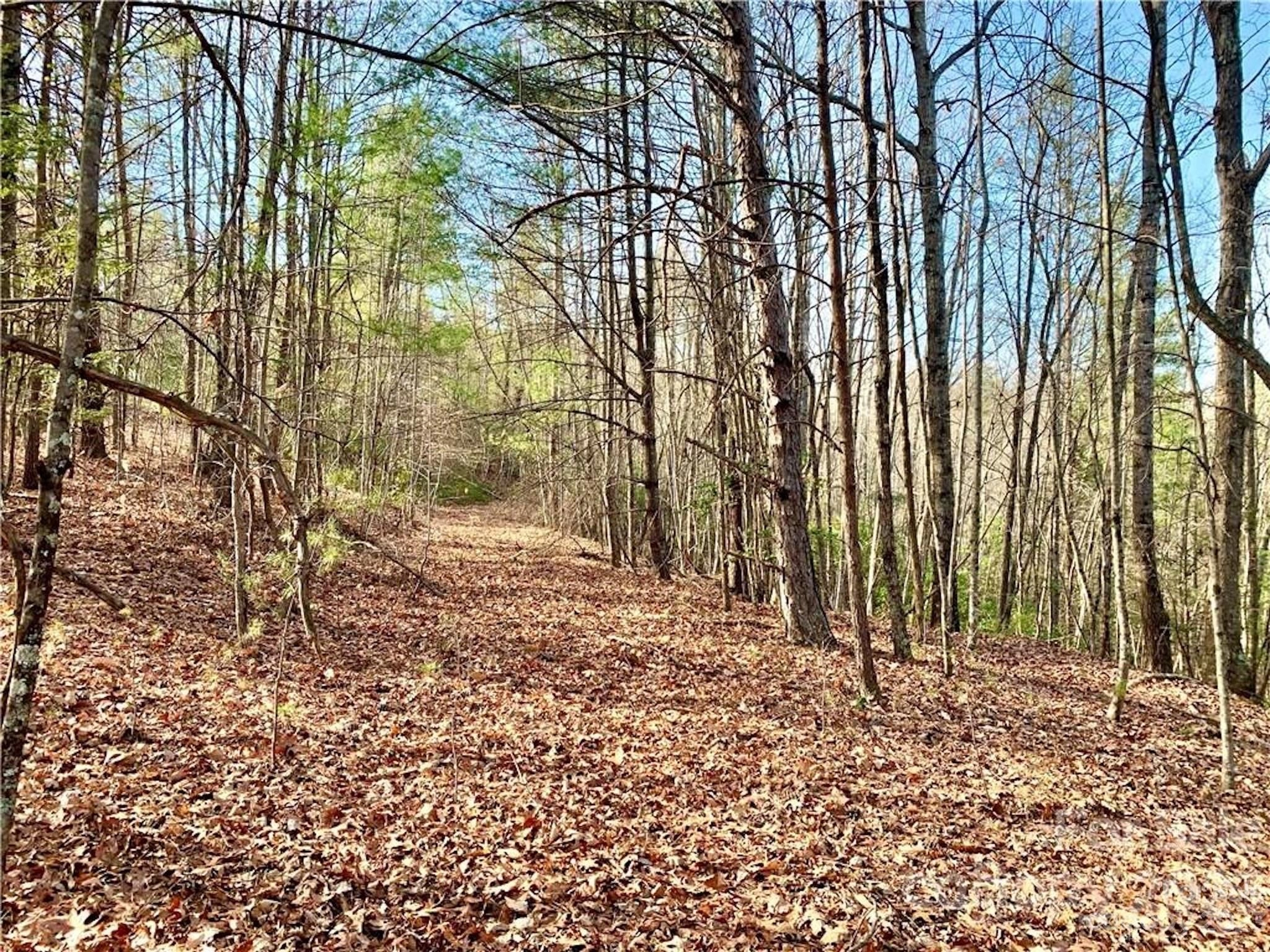 Round Mountain Lot 63 Pkwy Lot 63