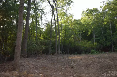 Carters Ridge Road, Spruce Pine, NC 28777 photo 2