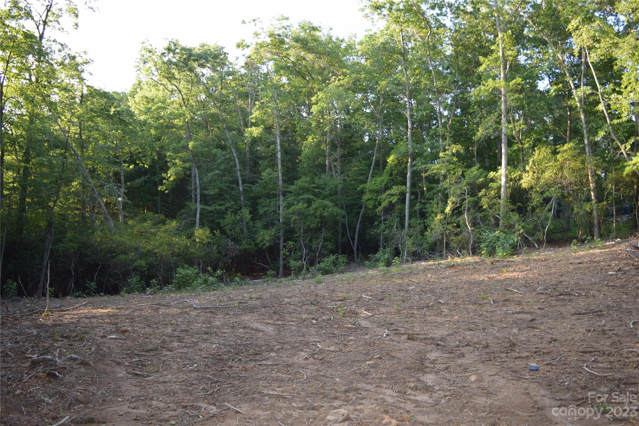 5 Carters Ridge Rd Unit 4  