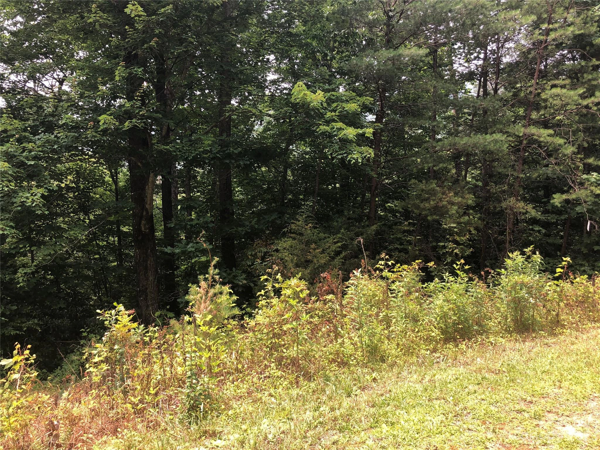 0 Crossings Dr S Unit Lot 5A