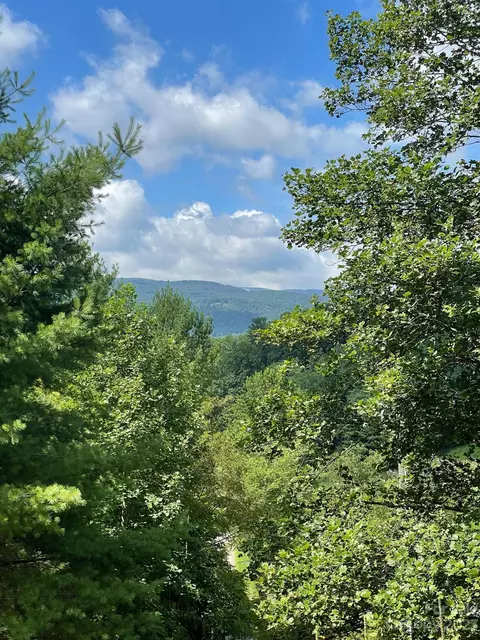 Dillard Greene Road, Vilas, NC 28692