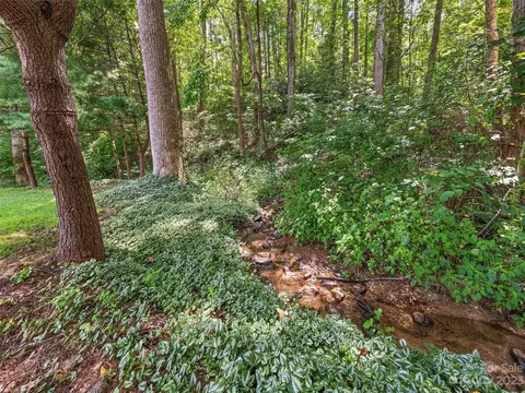 52 Walnut Rd, Clyde, NC 28721 photo 6