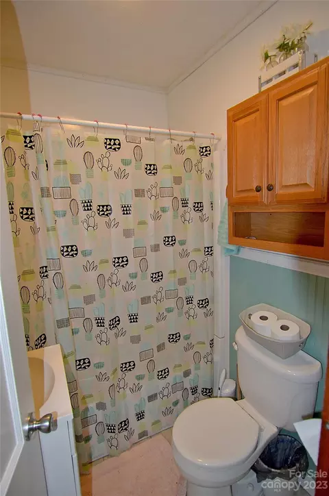 203 Maple Ave, Marion, NC 28752 photo 17