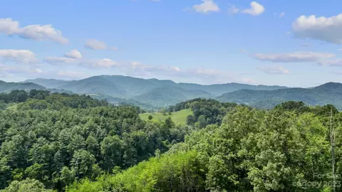 9999 Caney Fork Rd, Marshall, NC 28753 photo 40