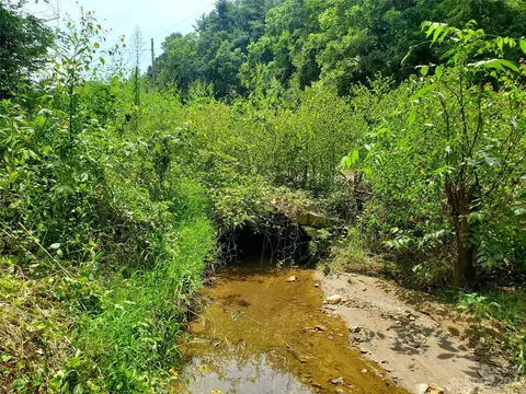 9999 Caney Fork Rd, Marshall, NC 28753 photo 31