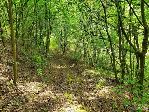 9999 Caney Fork Rd, Marshall, NC 28753 photo 28