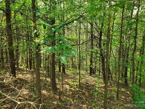 9999 Caney Fork Rd, Marshall, NC 28753 photo 26