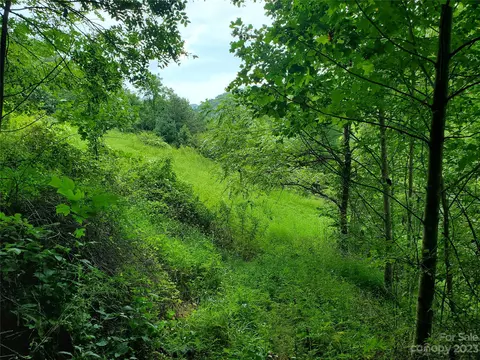 9999 Caney Fork Rd, Marshall, NC 28753 photo 29