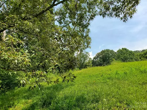 9999 Caney Fork Rd, Marshall, NC 28753 photo 25