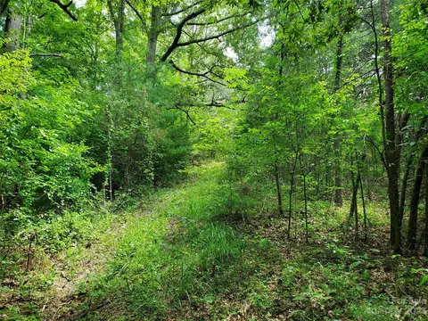 9999 Caney Fork Rd, Marshall, NC 28753 photo 27