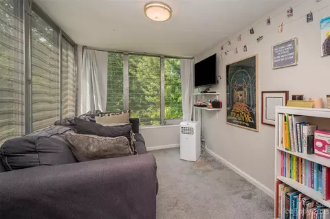 305 Grady Ave #C-2, Tryon, NC 28782 photo 18