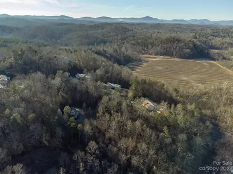 120 Bobcat Path, Marion, NC 28752 photo 37