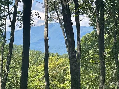 107 Boar Ridge Road #107, Sylva, NC 28779