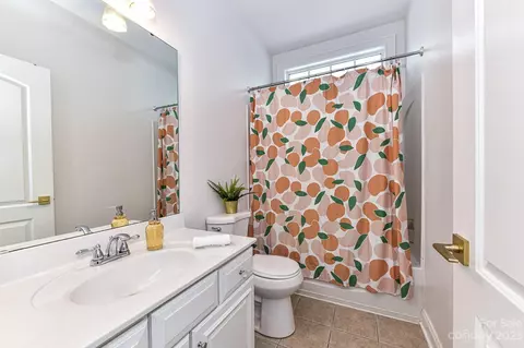 1102 South St, Cornelius, NC 28031 photo 30