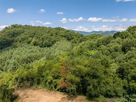00 Crabtree Mountain Rd, Clyde, NC 28721 photo 11