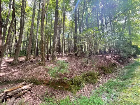406 Tlvdatsi Dr, Brevard, NC 28712