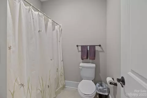 191 Chaska Loop, Troutman, NC 28166 photo 35