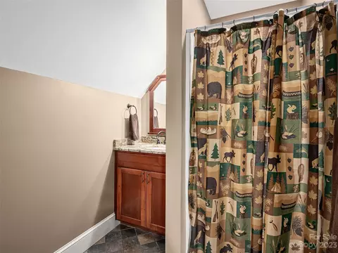 1131 S Cove Rd, Mill Spring, NC 28756 photo 25