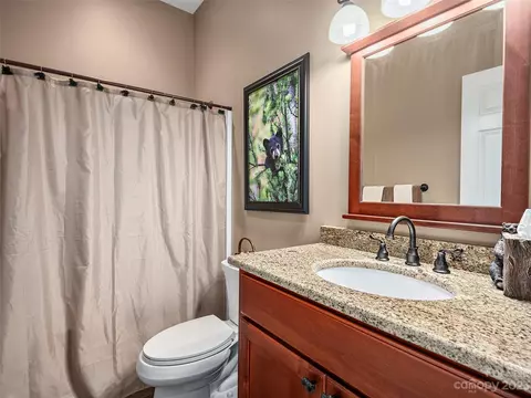 1131 S Cove Rd, Mill Spring, NC 28756 photo 34