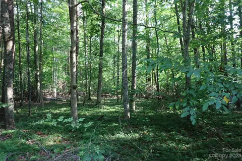0 Amber Oaks Dr, Rutherfordton, NC 28139
