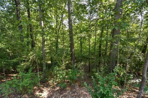 15141 Rocky Bluff Loop, Davidson, NC 28036 photo 34