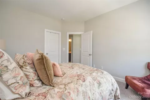 15141 Rocky Bluff Loop, Davidson, NC 28036 photo 22