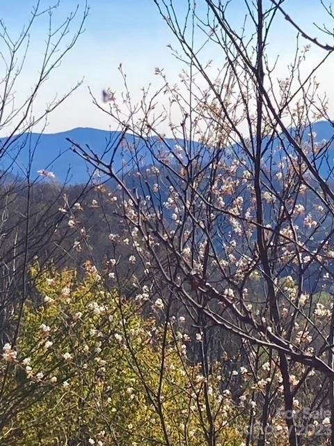 0 E Alarka Rd Unit Lot 37  