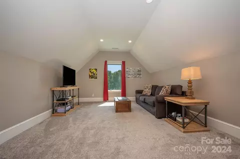 398 Mapleton Ln, Columbus, NC 28722 photo 26