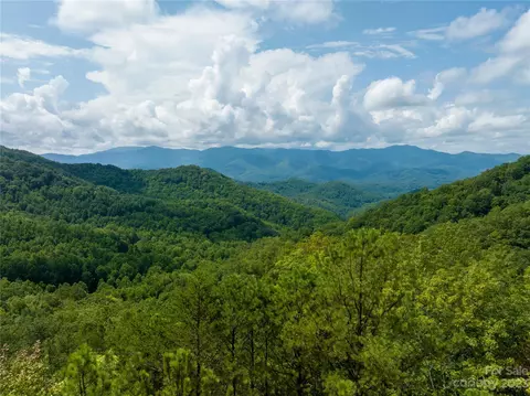 000 Firefly Rd, Whittier, NC 28789