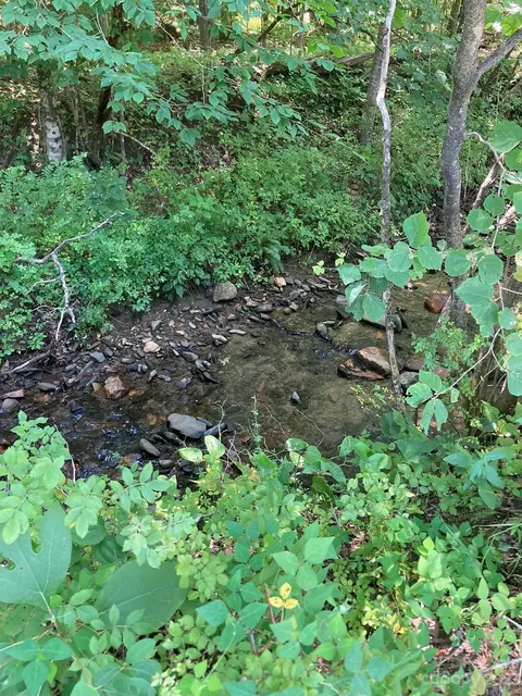 00000 Pond Rd, Spruce Pine, NC 28777