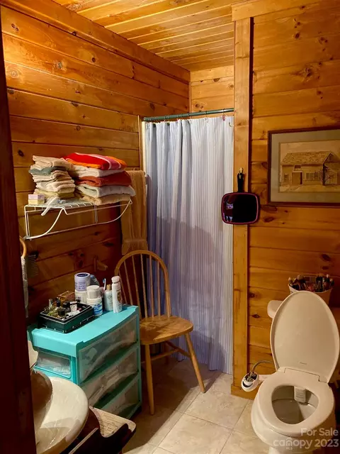 1083 Buck Mountain Rd, Purlear, NC 28665 photo 8