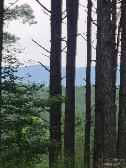 122 Table Rock Trce, Valdese, NC 28690